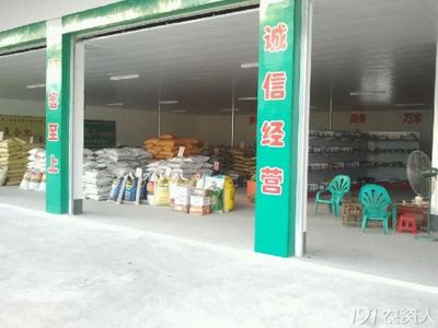 晨光中的农药零售 一位农资店主的日常