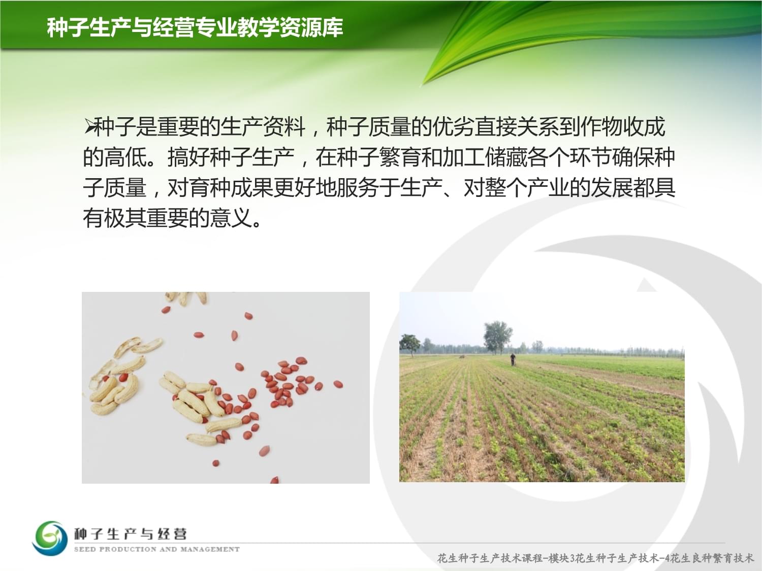 花生种子质量分级与计算机软硬件零售的关联与技术应用
